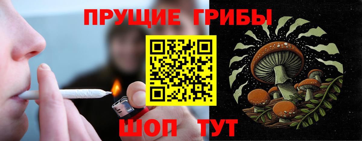 Реж  Галлюциногенные грибы мухоморы  Вход с VPN 