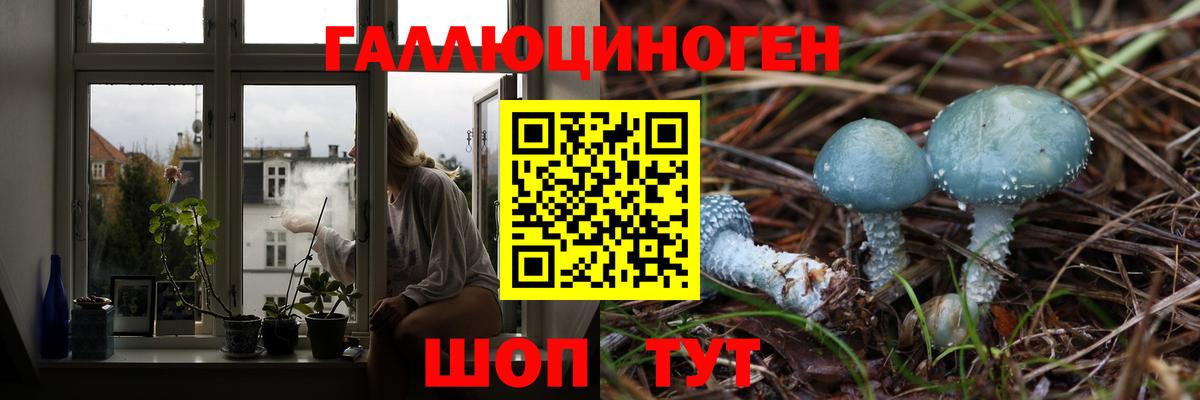Псилоцибиновые грибы мицелий Реж